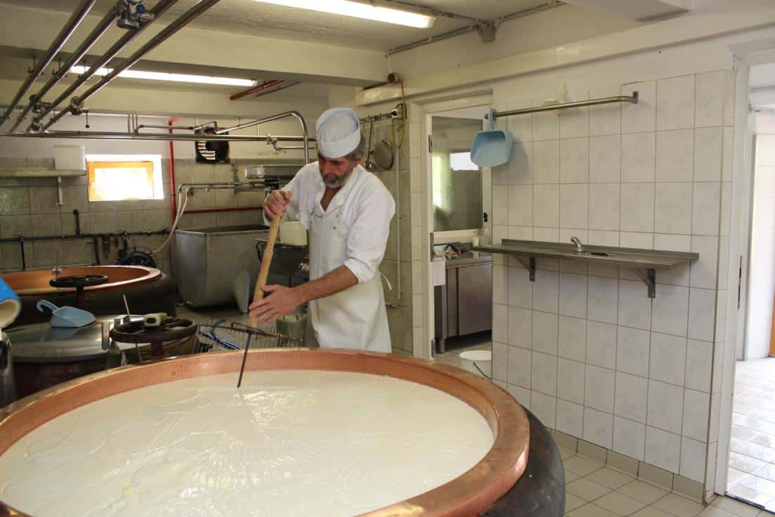 Johann Schönauer schneidet die geronnene Milch. "Wenn das nicht gemacht wird, wird der Käse schwammig," sagt er.