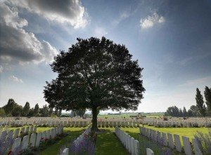 "Krieg und Trauma" - Soldatenfriedhof in langemark 