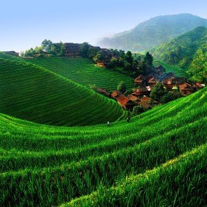 Die legendären Reisterrassen in Longsheng/Südchina