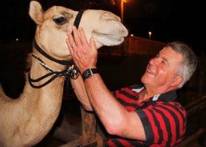 Zwei Kamele in Dubai