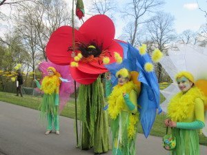 Lebende Blumen auf dem Marienberg in Brandenburg