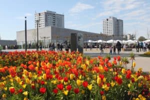 CTOUR vor Ort: Mit der Seilbahn zum internationalen Gartenfestival in Berlin 2