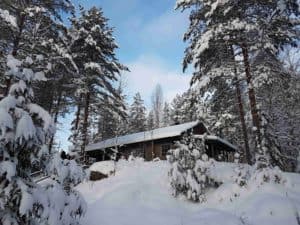 Ctour on tour: Kurs Nord in den eisigen Winterwald 5