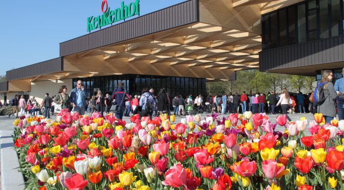 Happy Birthday Keukenhof! Seit 70 Jahren erfreut der schönste Frühlingspark der Welt seine Besucher 19