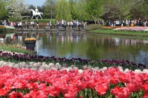 Happy Birthday Keukenhof! Seit 70 Jahren erfreut der schönste Frühlingspark der Welt seine Besucher 26
