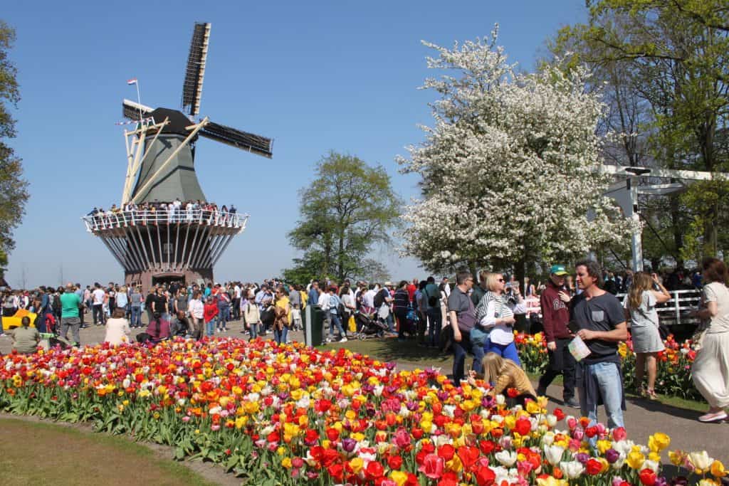 Happy Birthday Keukenhof! Seit 70 Jahren erfreut der schönste Frühlingspark der Welt seine Besucher 21