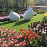 Happy Birthday Keukenhof! Seit 70 Jahren erfreut der schönste Frühlingspark der Welt seine Besucher 24